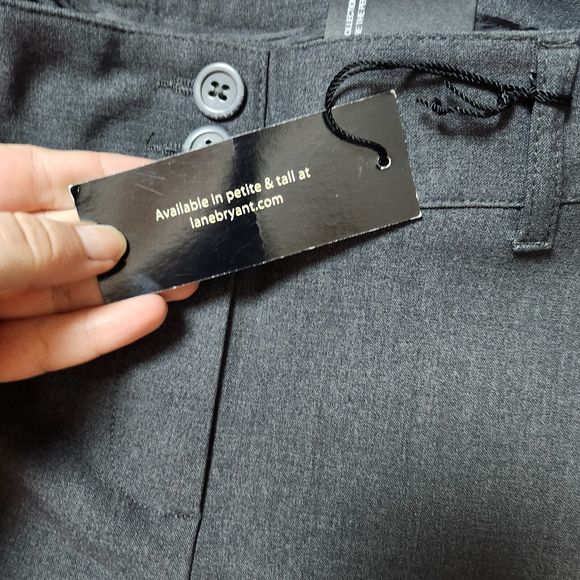 NWT Lane Bryant Plus Size 14 Classic Trouser Pants Gray Nipped at Knee Wider Leg - Picture 4 of 12